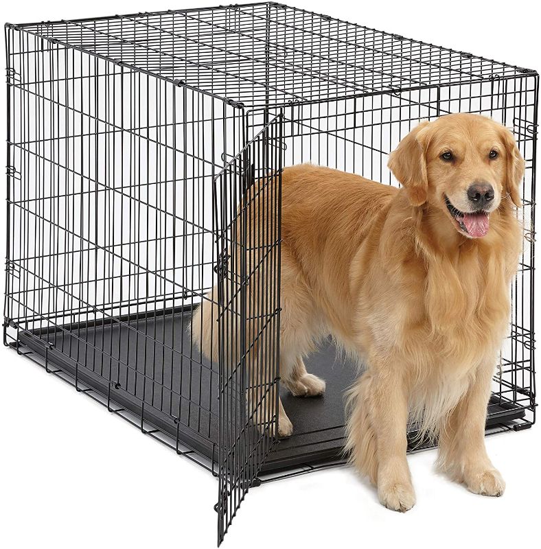 Photo 1 of MidWest iCrate Fold & Carry Single Door Collapsible Wire Dog Crate, 42 inch