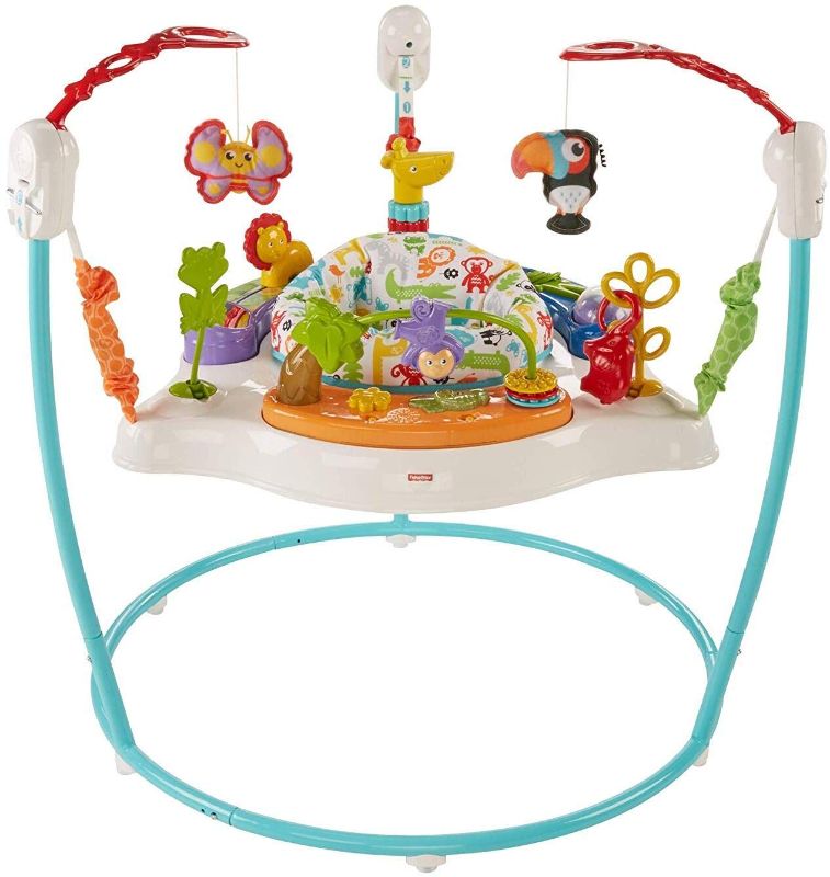 Photo 1 of Fisher-Price Animal Activity Jumperoo, Blue, One Size