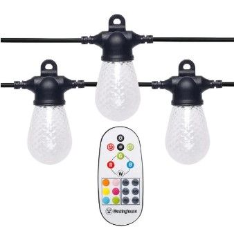 Photo 1 of Outdoor 48 ft. 24-Light Solar Powered Edison Bulb LED String Light with Color Change Feature and Remote
