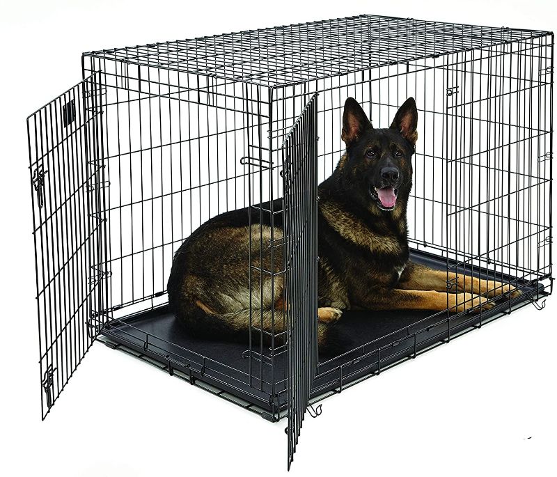 Photo 1 of MidWest LifeStages Double Door Collapsible Wire Dog Crate, 48 inch