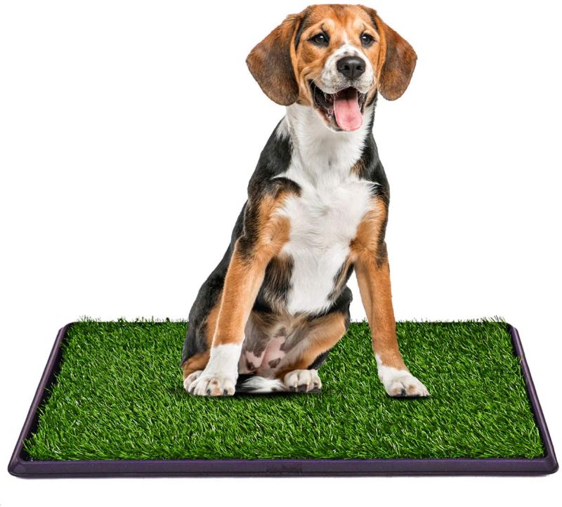 Photo 1 of  30"x20" Puppy Pet Potty Grass Pee Pad Home Training Toilet Pad Grass Surface Dog Mat Turf Patch Indoor Outdoor