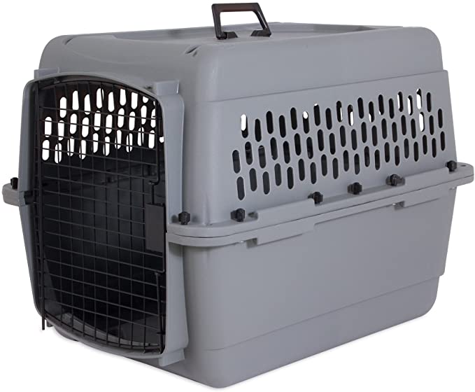 Photo 1 of Aspen Pet Traditional Dog & Cat Carrier, Light Gray, 28-in