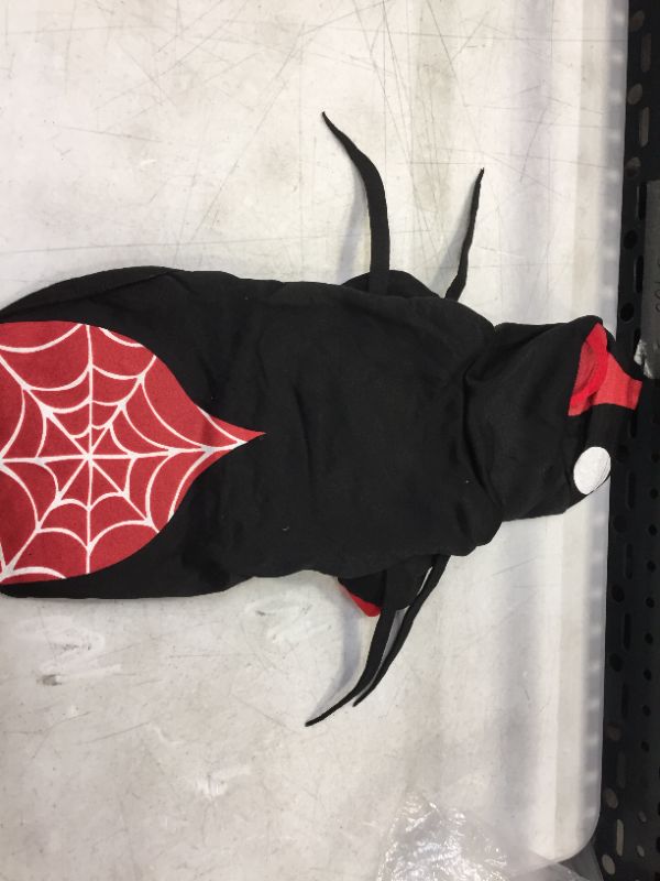 Photo 3 of  Pet Costume Spider Dress up--- size M 