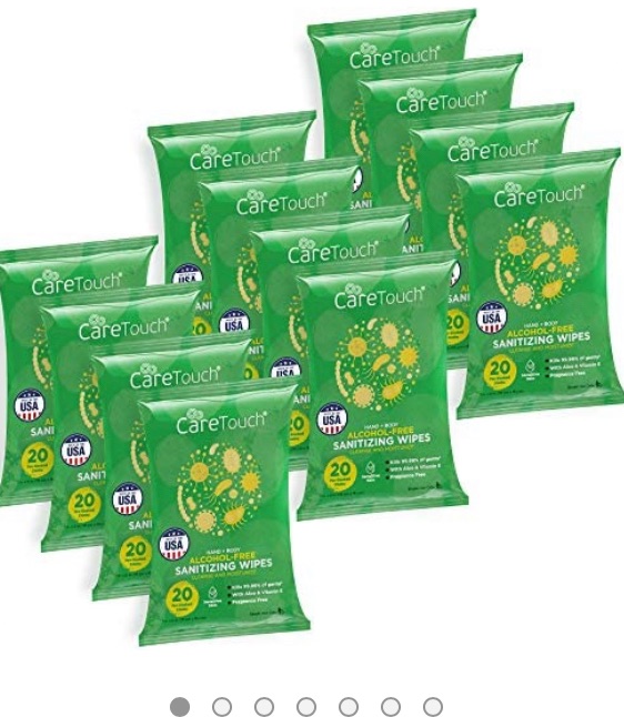 Photo 1 of Care Touch Alcohol-Free Hand Sanitizing Wipes - 12 Pouches of 20 Wipes - 240 Total - Antibacterial Hand Wipes with Vitamin E and Aloe Vera - For Babies and Adults - Made in the USA