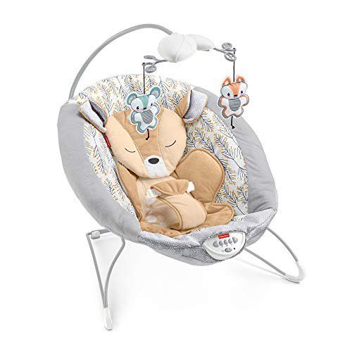 Photo 1 of Fisher-Price Fawn Meadows Deluxe Bouncer
