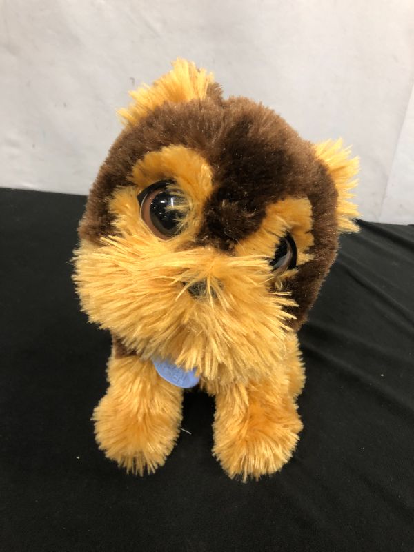 Photo 1 of FurReal Friends Jake My Jumping Yorkie Toy - Interactive Plush, Ages 4 and up 