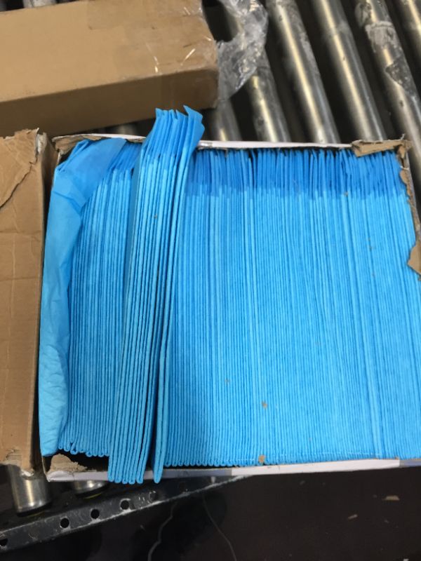 Photo 1 of American Kennel Club Training Pads 150/Pkg