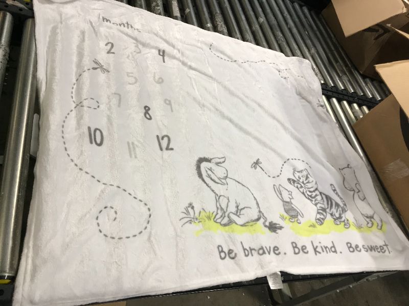 Photo 1 of winnie the pooh blanket