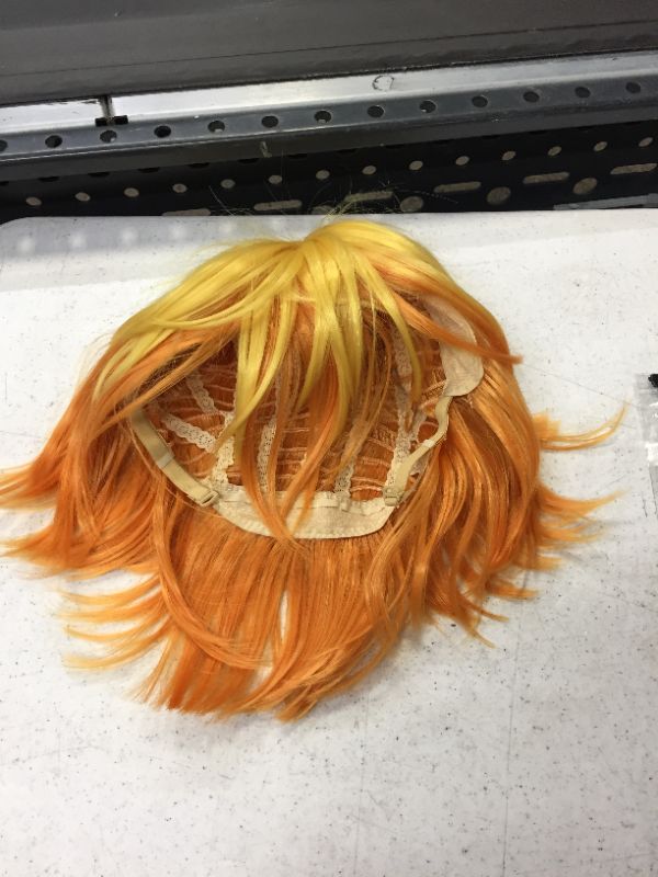 Photo 1 of costume wig