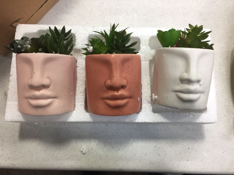 Photo 1 of CERAMIC POTS WITH FAKE SUCCULENTS 