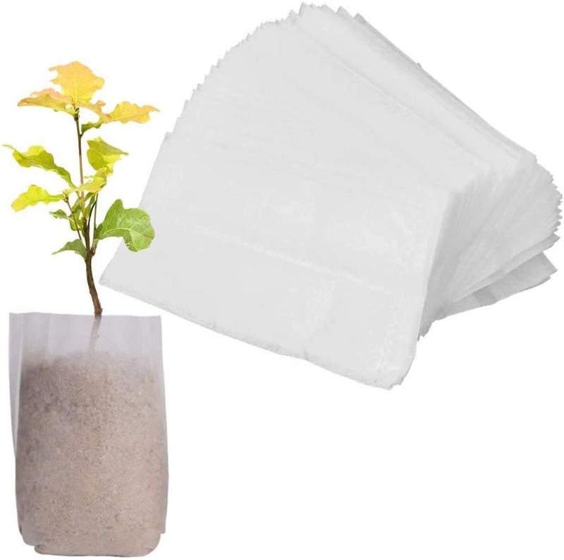 Photo 1 of 600 PCS Biodegradable Seed Nursery Bags, Non-Woven Plants Grow Bags, Vegetables Fabric Seedling Pots Plants Pouch, Home Garden Supply 8x10cm/3.15”x 3.93”