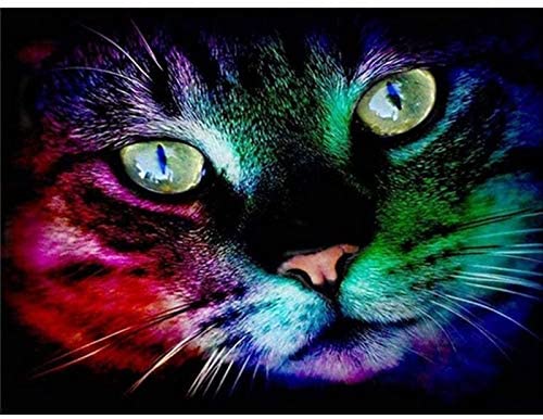 Photo 1 of 5D DIY Diamond Painting Kit Full Drill Colorful Cross Stitch (Diamond Painting Tool Included) 11.8 x 15.7 Inches