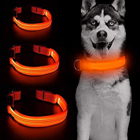 Photo 1 of USB Rechargeable Collar Led High Visible  