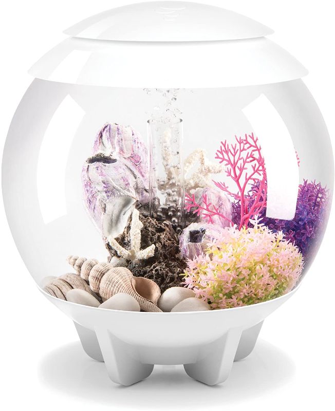 Photo 1 of biOrb Halo Aquarium (White)