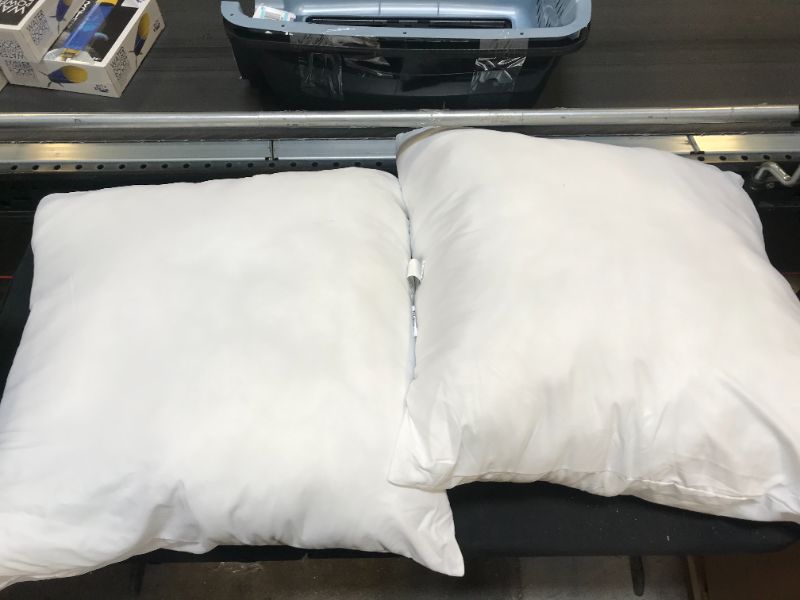 Photo 1 of 2 large generic pillows 