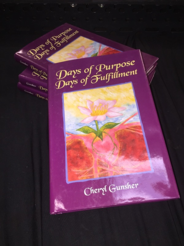 Photo 2 of days of purpose days of fulfillment 4 pack books 