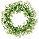 Photo 1 of Artificial Baby’s Breath Wreath 18” Front Door Wreath Spring Summer Fall Wreath for Front Door Farmhouse Wreath Flower Window Wreath for All Seasons Wall Home Party Wedding Décor