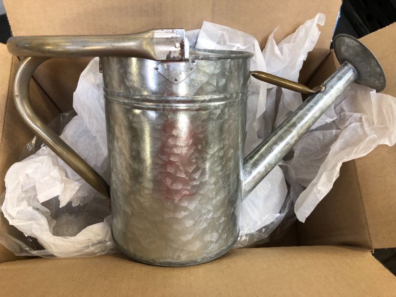 Photo 2 of Cesun Metal Watering Can Galvanized Steel Watering Pot with Removable Spray Spout