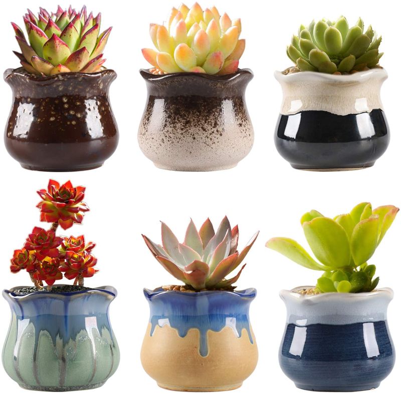 Photo 1 of XIGUZHAN Small Ceramic Succulent Pots with Drainage Set of 6,Planting Pot Flower Pots,Mini Pots for Plants,Air Plant Flower Pots,Cactus Planter Pots Container Bonsai Planters,Home and Office Decor
