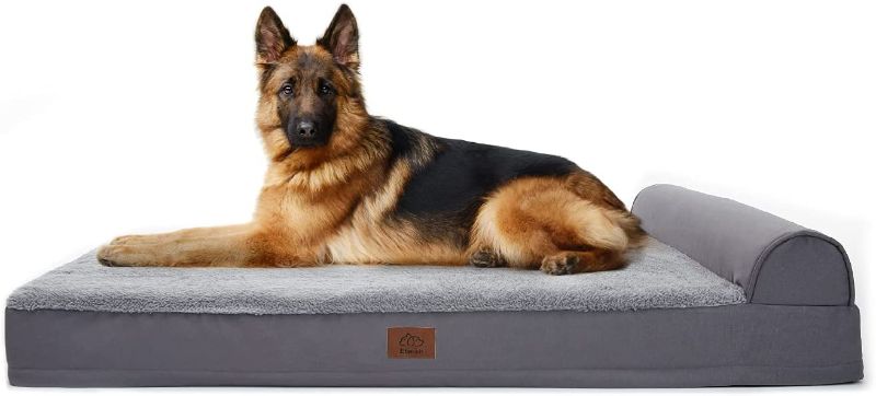 Photo 1 of Eterish Orthopedic Dog Bed for Medium