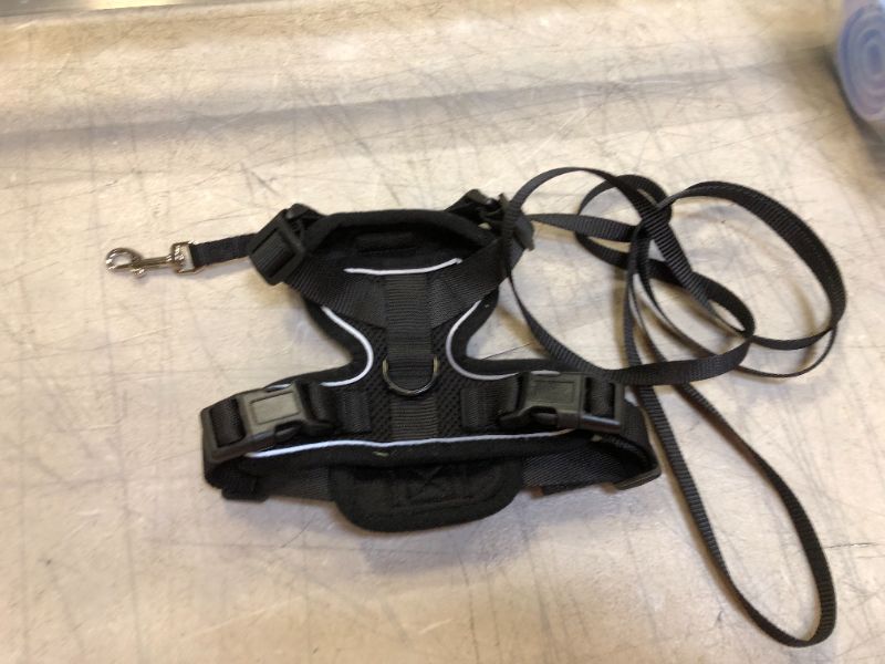 Photo 2 of xs cat harness and leash 