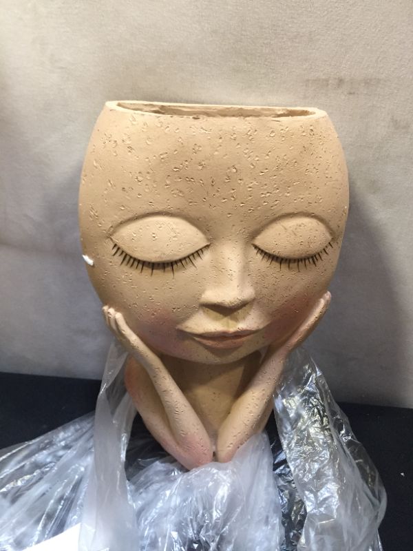 Photo 1 of AIMEBBY Face Flower Pot Head Planter Pot Succulent Planter Cute Resin Cactus Planter with Drainage Hole Closed Eyes
