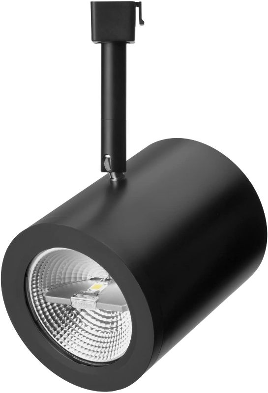 Photo 1 of Lithonia Lighting LTH FLTB PAR30 DBL M6 One-Light Front Loading Flat Back Commercial Track Head, PAR30-Compatible, Black
