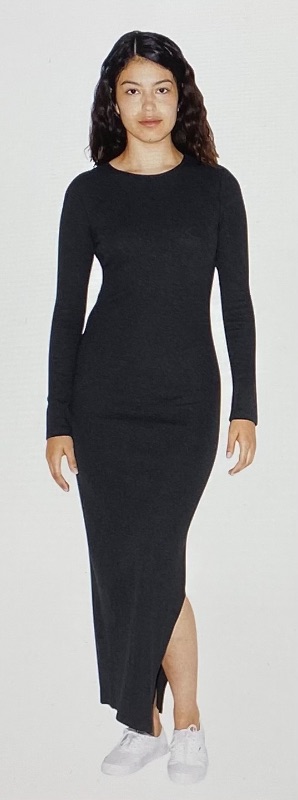 Photo 1 of American Apparel Women's Cotton 2x2 Long Sleeve Crewneck Dress (Small - Black)