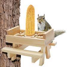 Photo 1 of BELACHI SQUIRREL FEEDERS FOR OUTSIDE