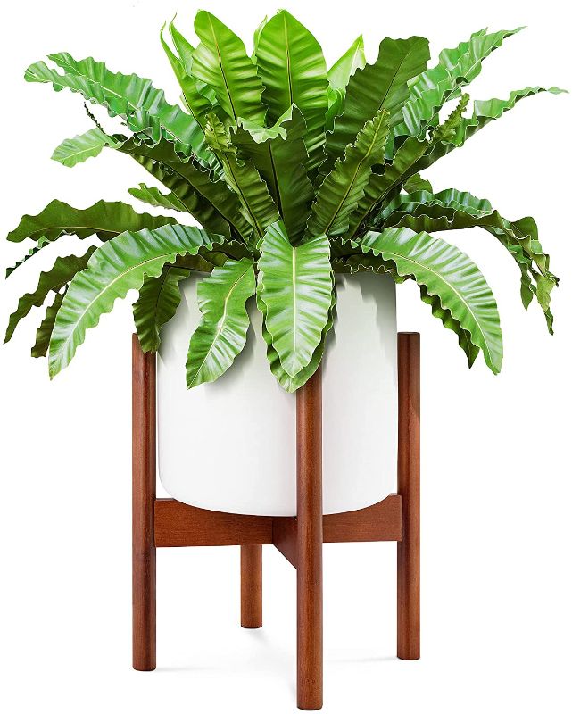 Photo 1 of EdenHomes Mid Century Modern Indoor Plant Stand with Pot Set, 10 Inch White Plant Pot, 14 Inch Tall Bamboo Plant Holder for Flowers, Succulents, Snake Plants, Cactus, Fiddle Leaf Fig Trees
