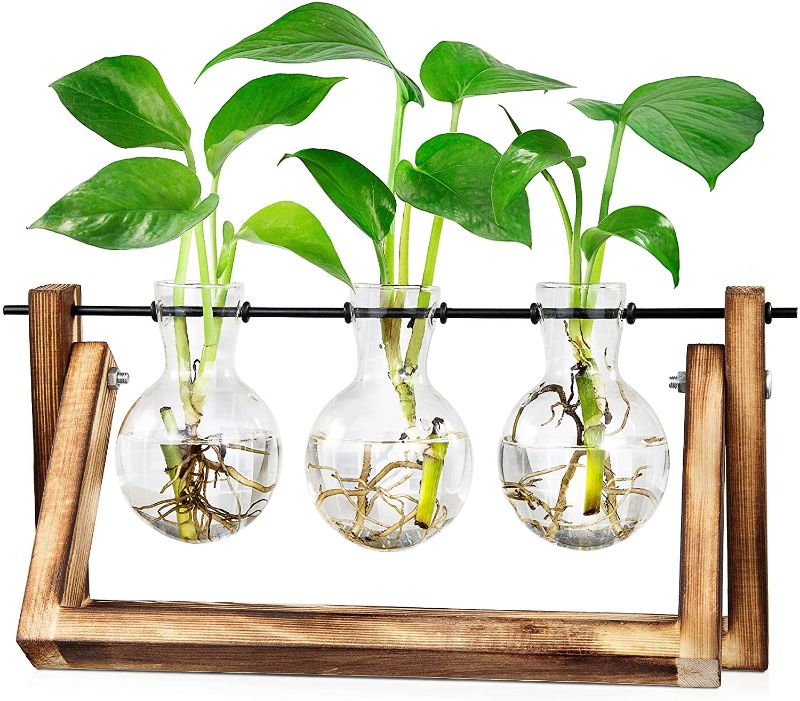 Photo 1 of Waytoeast Desktop Propagation Stations, Air Plant Terrarium Bulb Vase with Swing Wooden Propagation Stand Glass Planter for Hydroponics Plants Office Home Garden Decor - 3 Bulb Vase
