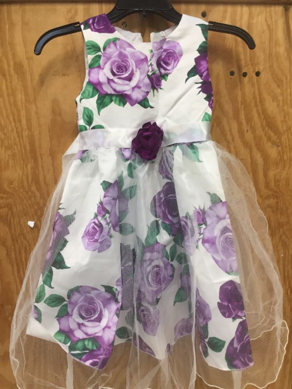 Photo 1 of Girls White and Purple Floral Dress size 5