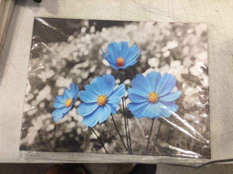 Photo 1 of 16x11in wall painting art