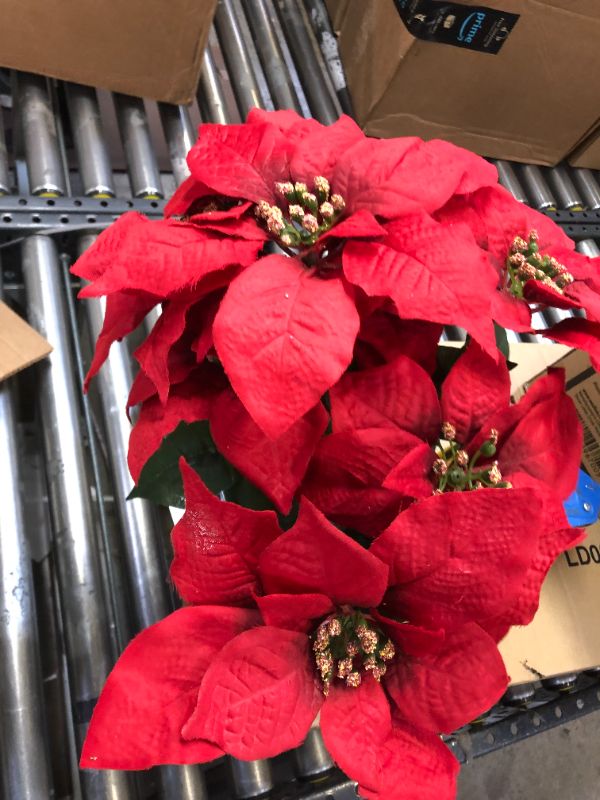 Photo 2 of Creative Displays Large Premier Silk Poinsettia Plant Christmas Decorations, Amazingly Lifelike, 17" x 15" (2 Poinsettias)
