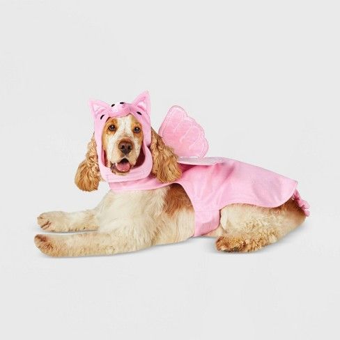 Photo 2 of Flying Pig Dog and Cat Costume - Hyde & EEK! Boutique™ medium
