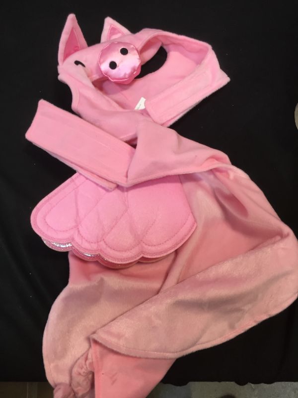 Photo 1 of Flying Pig Dog and Cat Costume - Hyde & EEK! Boutique™ medium
