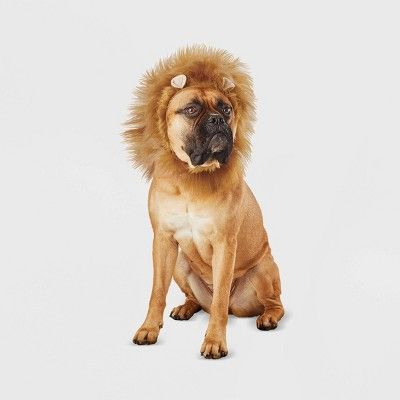 Photo 1 of Lion Ruff Dog Headwear - L/XL - Hyde & EEK! Boutique large xol