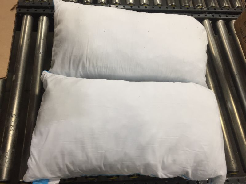 Photo 1 of 2 pack of shredded memory foam pillows