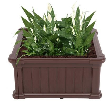 Photo 1 of Dark Brown Plastic Beds Planter Box, 24"L x 24"W x 11"H