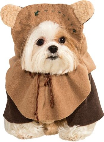 Photo 1 of Ewok Pet Costume
 small 