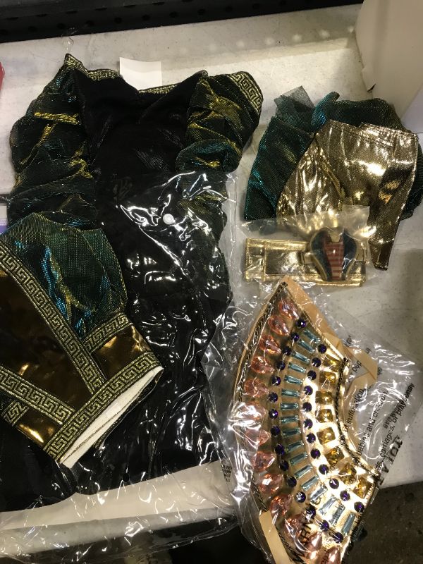 Photo 1 of Egyptian Goddess Costume
