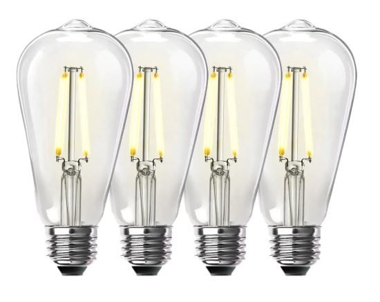 Photo 1 of 60-Watt Equivalent ST19 Dimmable Straight Filament Clear Glass Vintage Edison LED Light Bulb, Bright White (4-Pack)
