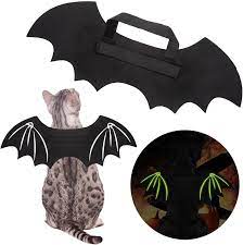 Photo 1 of FATCOOLGOO 2 PACK HALLOWEEN COSTUME FOR CATS 3 PACKS OF 2 SZIE MEDIUM