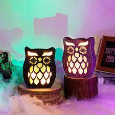 Photo 1 of DR.DUDU HALLOWEEN DECORATIONS 2 PACK LIGHTED OWL