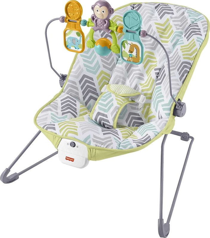 Photo 1 of Fisher-Price Baby Bouncer, Arrow Dynamic
