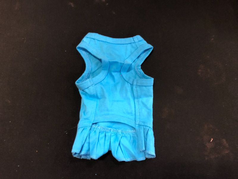 Photo 1 of Small Dog Blue Clothing (S)