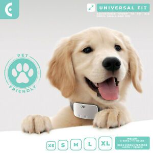 Photo 1 of Dog Anti Bark Collar Rechargeable Pet Barking Training & Shock-Vibration - White