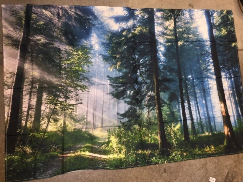 Photo 1 of  Forest Pictured Wall  Banner 58x36 Inches 