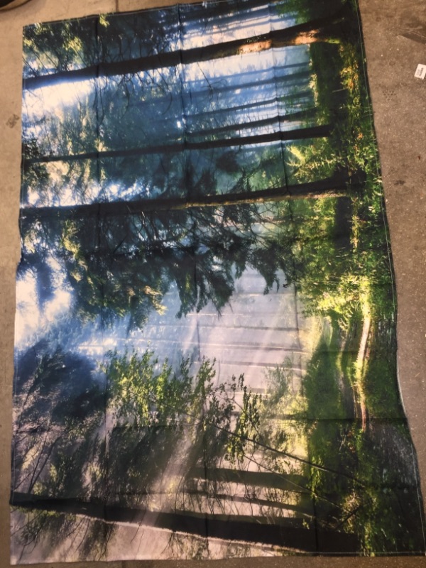 Photo 1 of  Forest Pictured Wall  Banner 58x36 Inches 