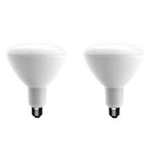 Photo 1 of 90-Watt Equivalent BR40 Dimmable ENERGY STAR LED Light Bulb Bright White (2-Pack) 